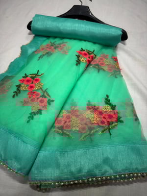 KANJIVARAM STYLE Embroidered Bollywood Net Saree (Light Green)