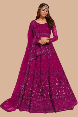 Embroidered Semi Stitched Net Lehenga for Women (Rani)