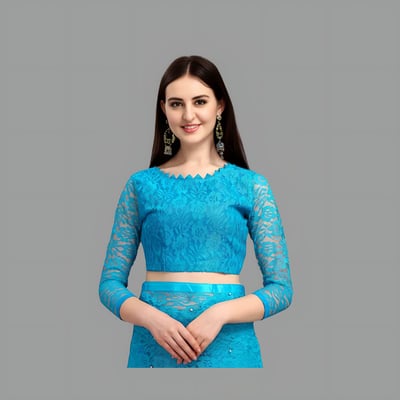 Self Design Women Bollywood Net Saree (Sky Blue)