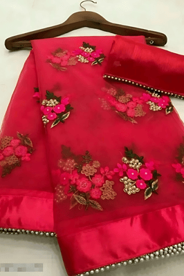 Moti Work Red Net Saree